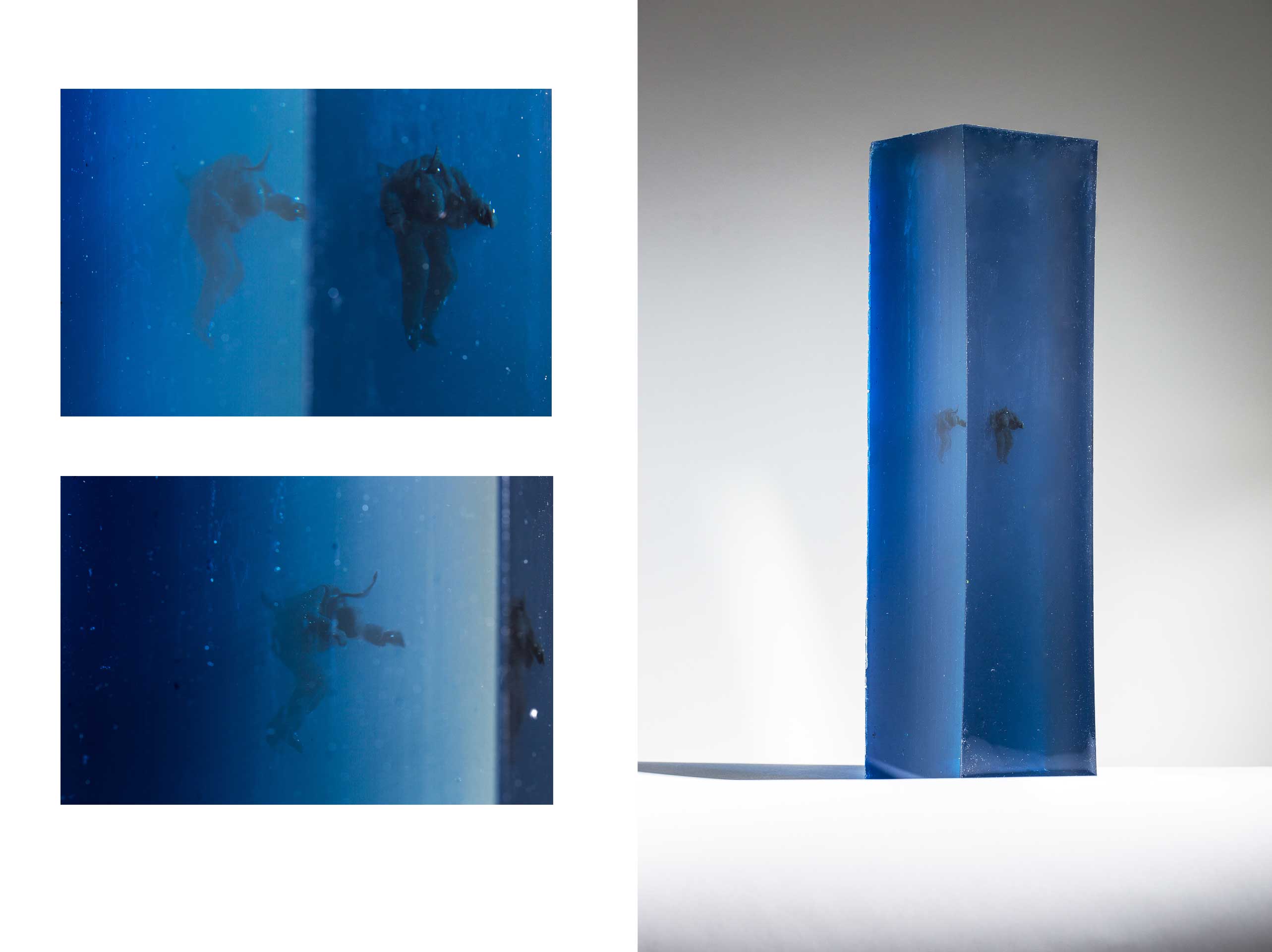 The importance of breathing _ dreaming a whale The Importance of Breathing