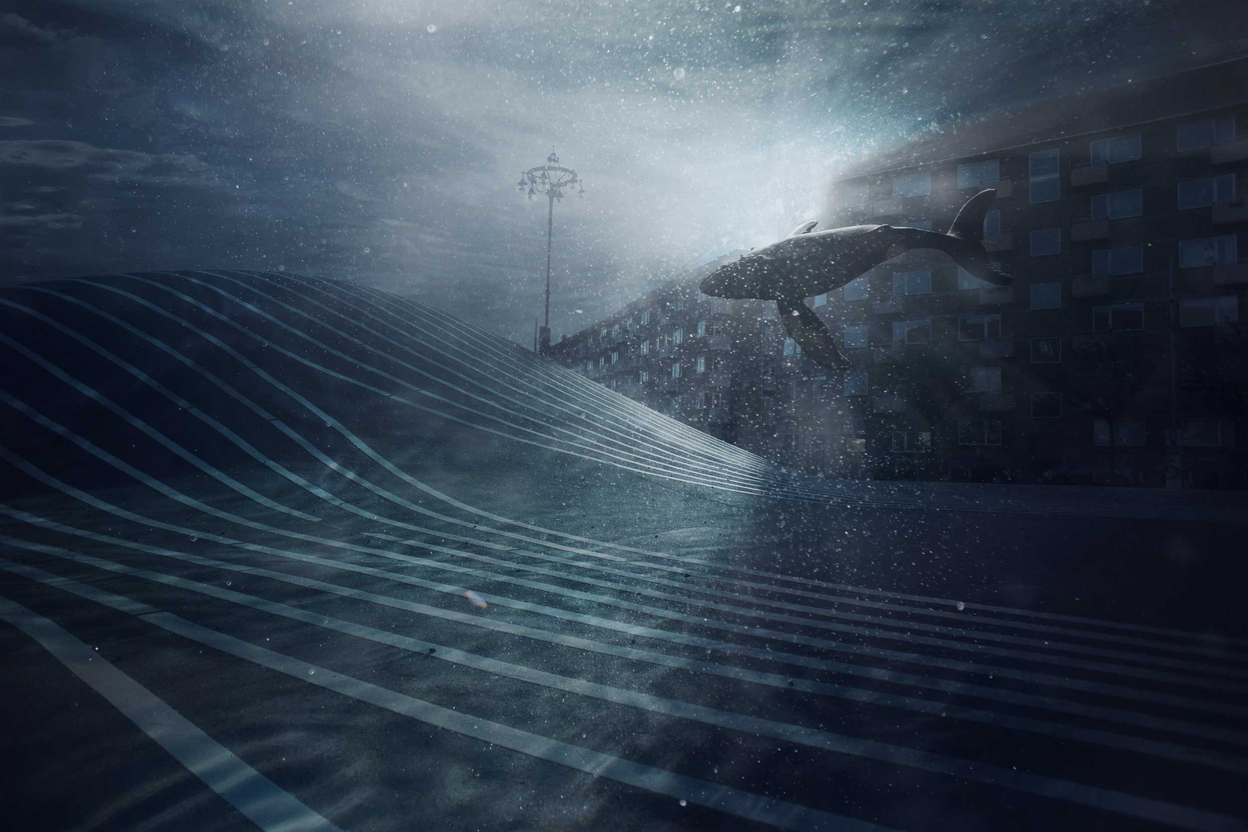 NicolaMalnato_The-Importance-of-Breathing_dreaming-a-whale