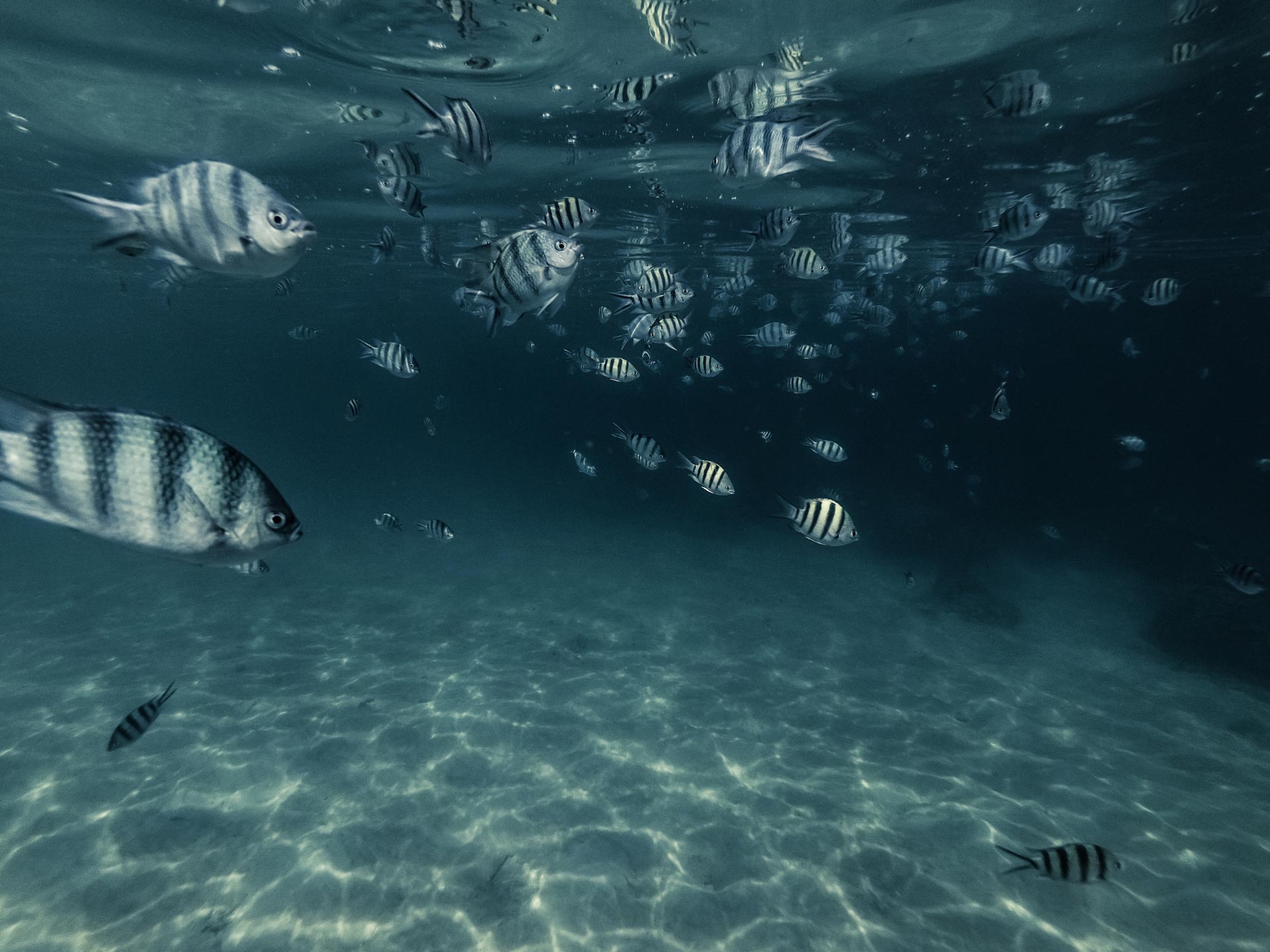 sotto-respiro3_NicolaMalnato_webfullHD