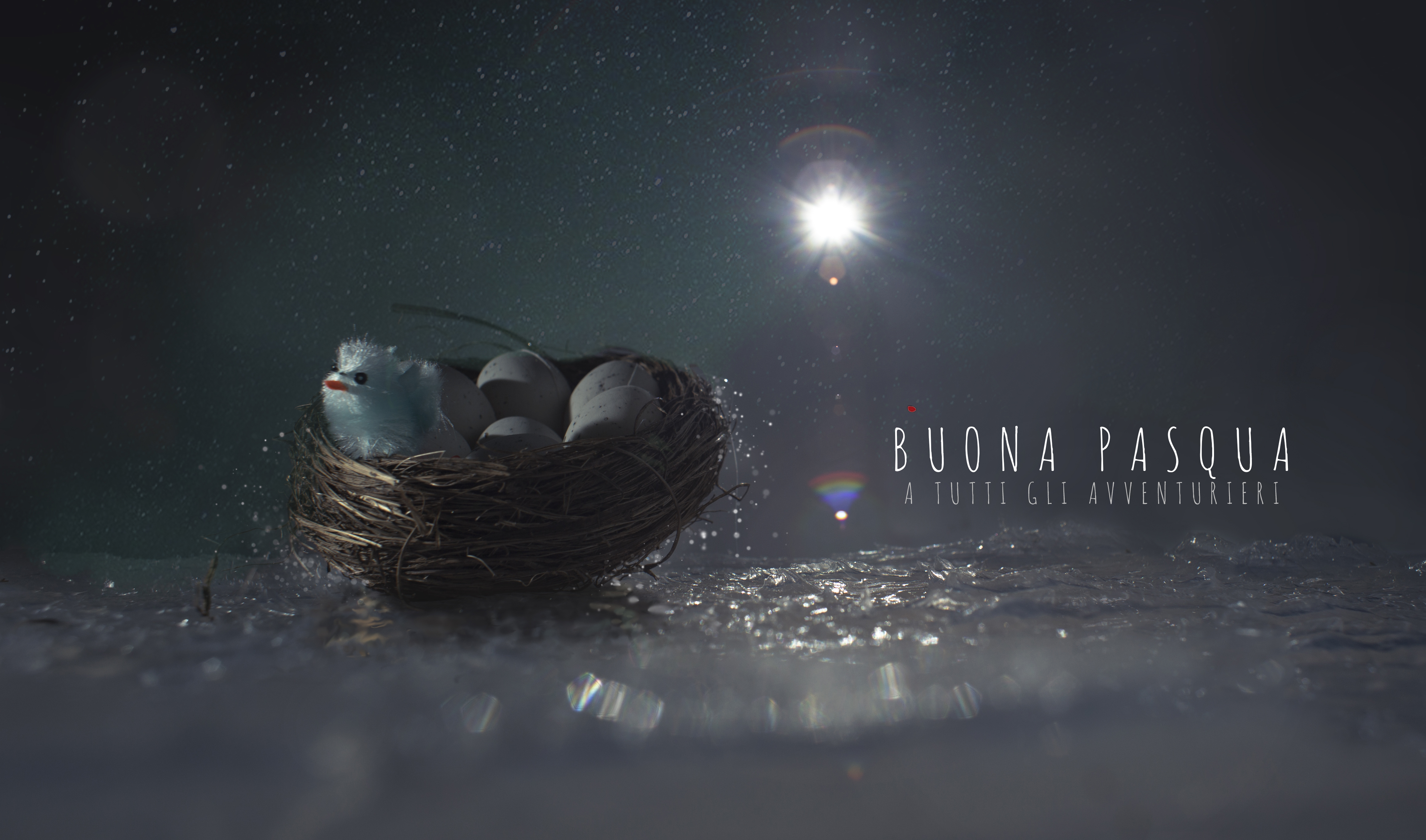 final_buona pasqua